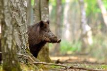 Notre zone d'activité pour ce service Prix traitement contre les blattes à