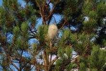 Nos prestations sur le secteur de Saint-Tropez 83