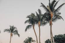 Nos prestations sur le secteur de Le Lavandou dans le Var